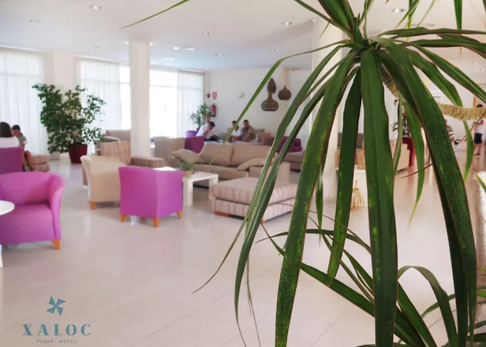 Xaloc Playa 3*