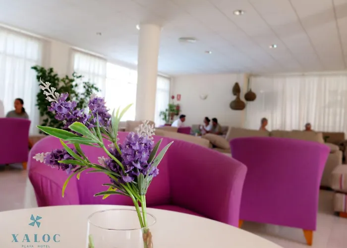 Xaloc Playa 3* 蓬塔普里马